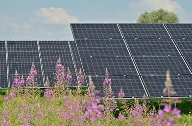 Solar panel array in a field