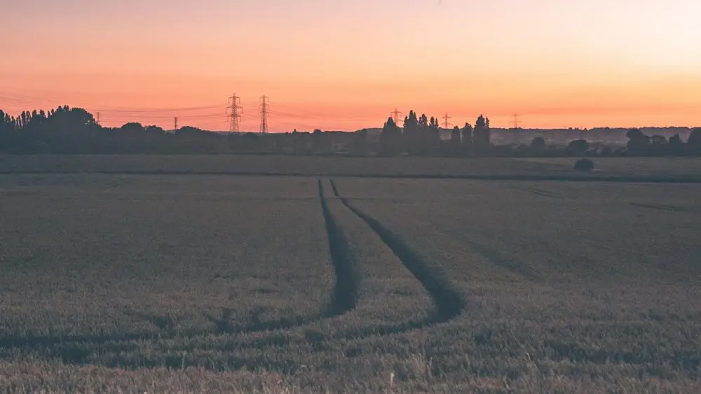 a field at sunset with pylons on the horizon